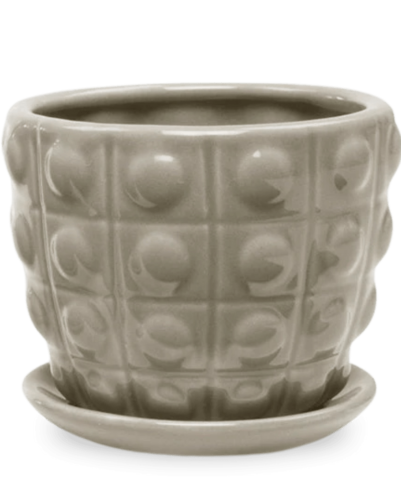 Convex Ceramic Pot With Drainage Hole And Saucer - Chive Ceramics Studio - Pots - Chive US