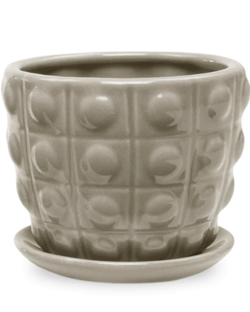 Convex Ceramic Pot With Drainage Hole And Saucer - Chive Ceramics Studio - Pots - Chive US