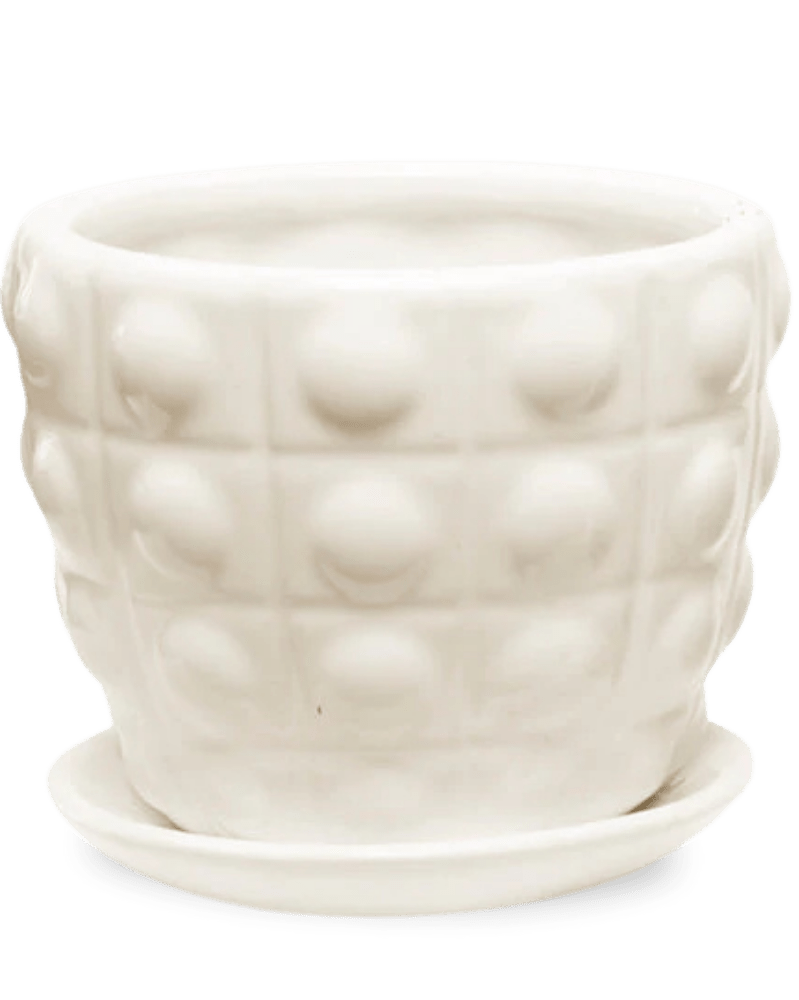 Convex Ceramic Pot With Drainage Hole And Saucer - Chive Ceramics Studio - Pots - Chive US