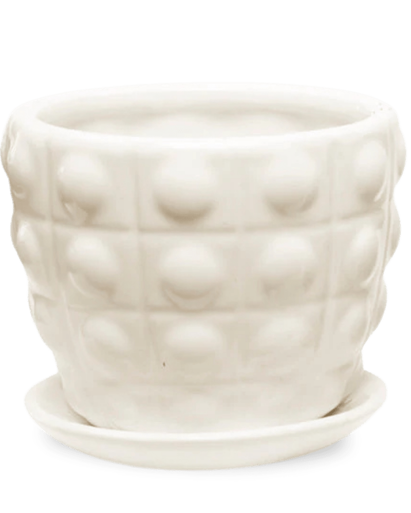 Convex Ceramic Pot With Drainage Hole And Saucer - Chive Ceramics Studio - Pots - Chive US