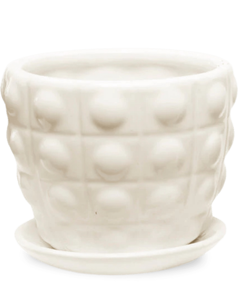 Convex Ceramic Pot With Drainage Hole And Saucer - Chive Ceramics Studio - Pots - Chive US