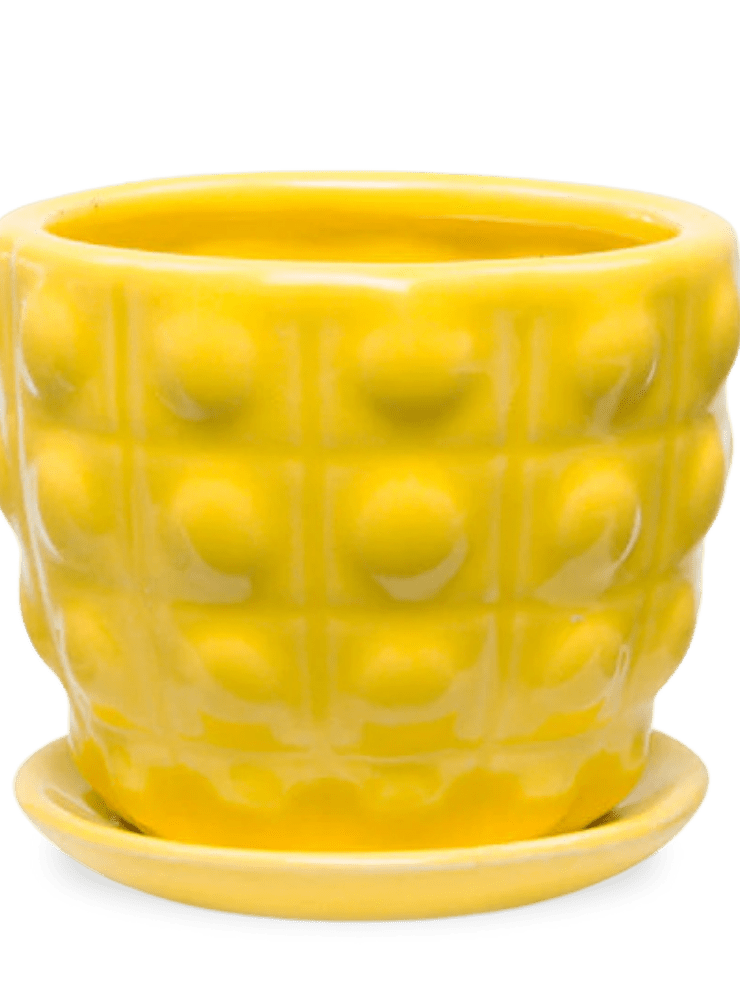 Convex Ceramic Pot With Drainage Hole And Saucer - Chive Ceramics Studio - Pots - Chive US