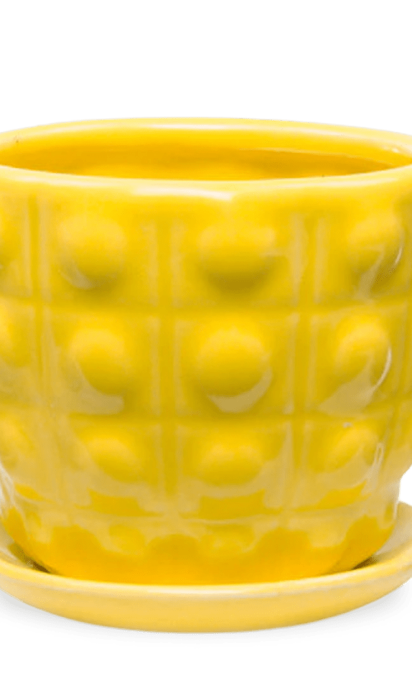 Convex Ceramic Pot With Drainage Hole And Saucer - Chive Ceramics Studio - Pots - Chive US