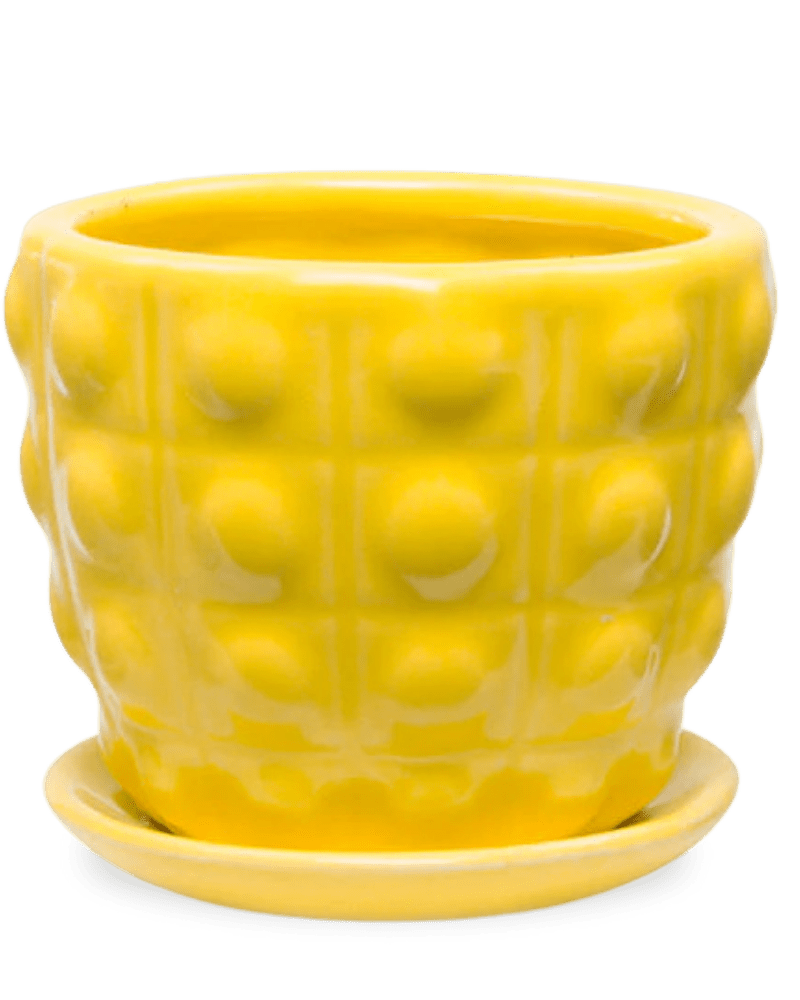 Convex Ceramic Pot With Drainage Hole And Saucer - Chive Ceramics Studio - Pots - Chive US