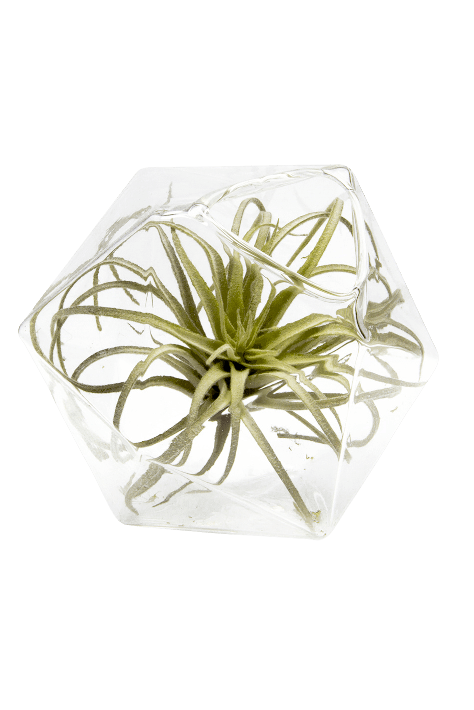 Crystal Glass Modern Clear Flower Vase - Chive Ceramics Studio - Vases - Chive US