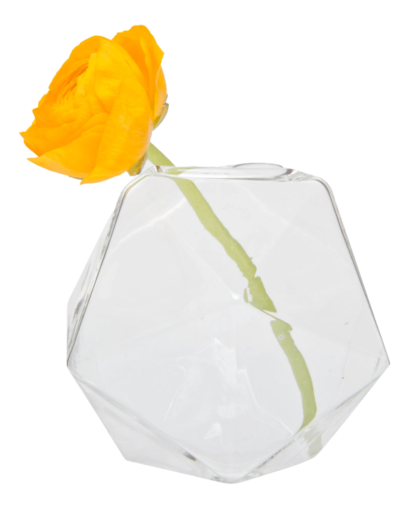 Crystal Glass Modern Clear Flower Vase - Chive Ceramics Studio - Vases - Chive US