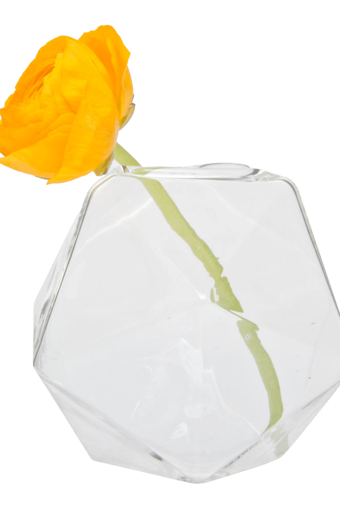 Crystal Glass Modern Clear Flower Vase - Chive Ceramics Studio - Vases - Chive US