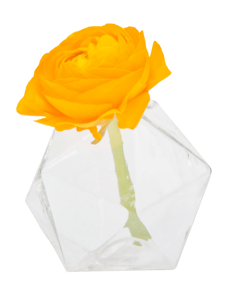 Crystal Glass Modern Clear Flower Vase - Chive Ceramics Studio - Vases - Chive US