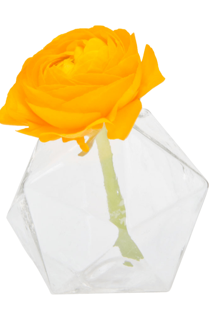 Crystal Glass Modern Clear Flower Vase - Chive Ceramics Studio - Vases - Chive US