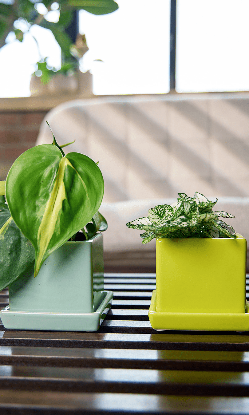 Cube & Saucer Ceramic Pot With Drainage Hole - Chive Ceramics Studio - Pots - Chive Ceramics Studio