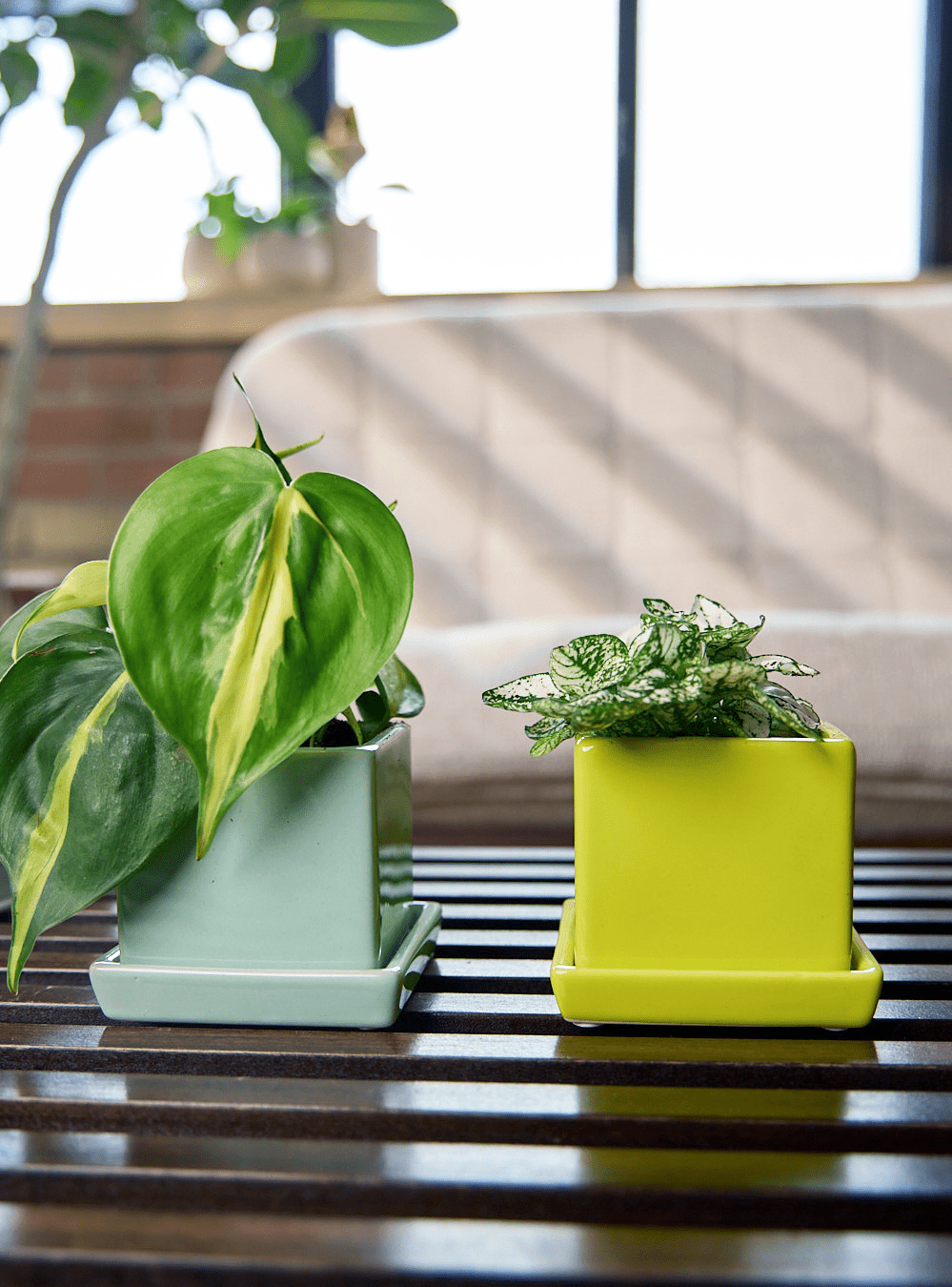 Cube & Saucer Ceramic Pot With Drainage Hole - Chive Ceramics Studio - Pots - Chive Ceramics Studio