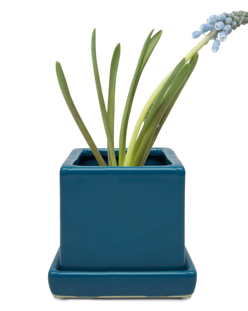 Cube & Saucer Ceramic Pot With Drainage Hole - Chive Ceramics Studio - Pots - Chive Ceramics Studio