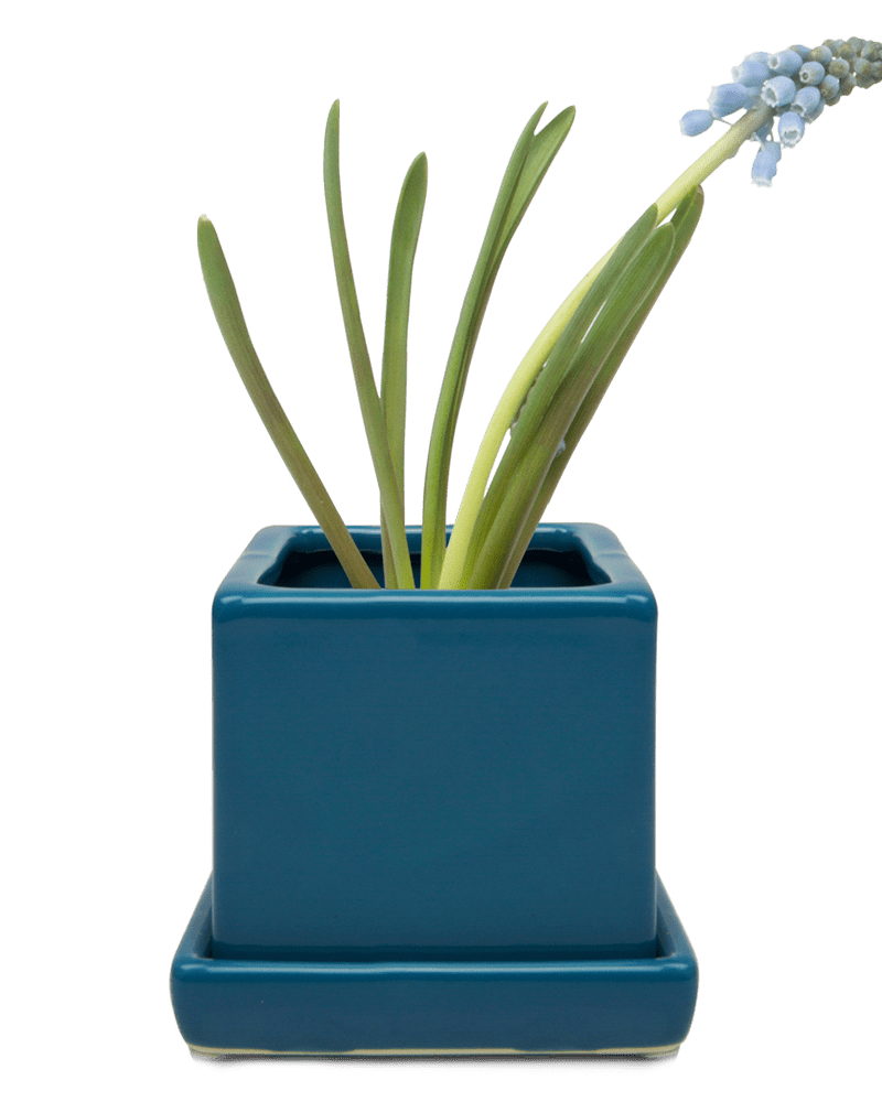 Cube & Saucer Ceramic Pot With Drainage Hole - Chive Ceramics Studio - Pots - Chive Ceramics Studio