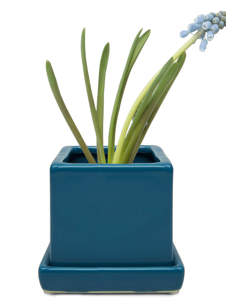 Cube & Saucer Ceramic Pot With Drainage Hole - Chive Ceramics Studio - Pots - Chive Ceramics Studio