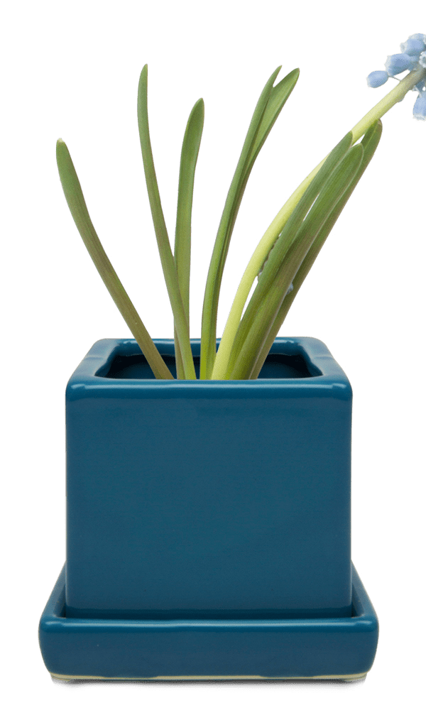 Cube & Saucer Ceramic Pot With Drainage Hole - Chive Ceramics Studio - Pots - Chive Ceramics Studio