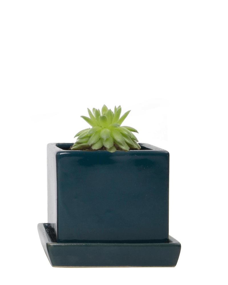 Cube & Saucer Ceramic Pot With Drainage Hole - Chive Ceramics Studio - Pots - Chive Ceramics Studio