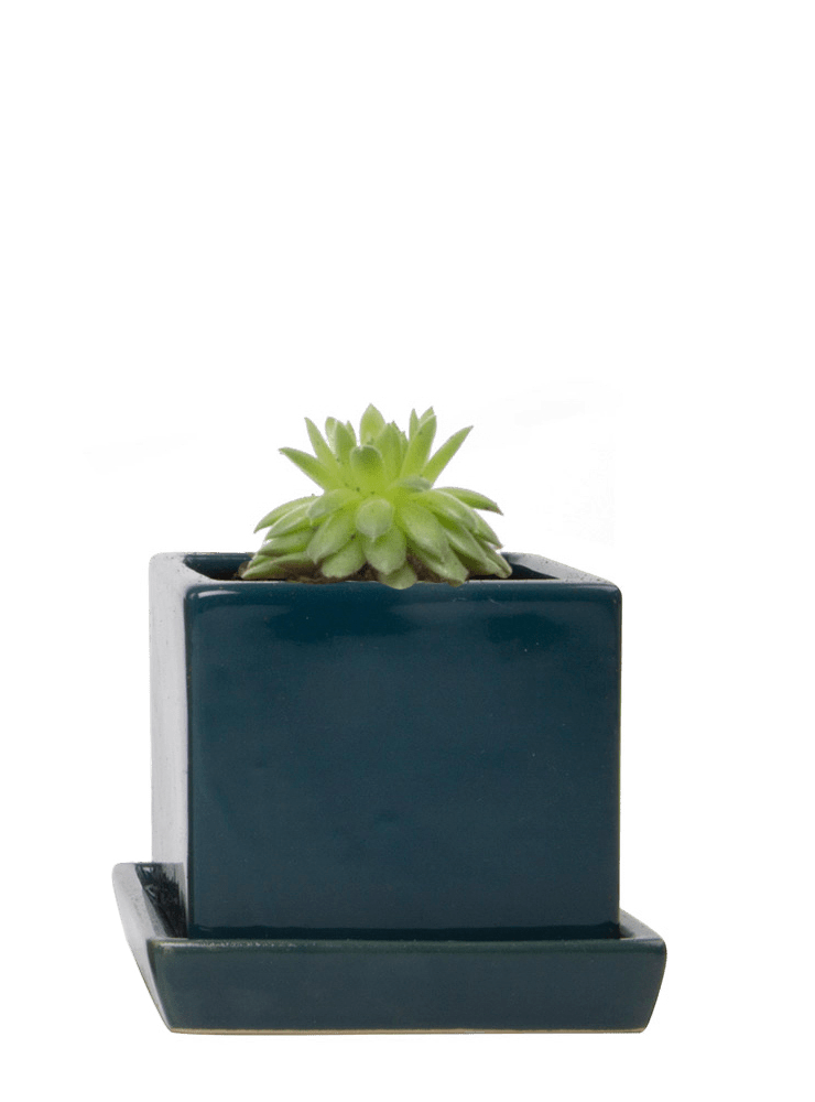 Cube & Saucer Ceramic Pot With Drainage Hole - Chive Ceramics Studio - Pots - Chive Ceramics Studio