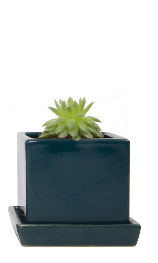 Cube & Saucer Ceramic Pot With Drainage Hole - Chive Ceramics Studio - Pots - Chive Ceramics Studio