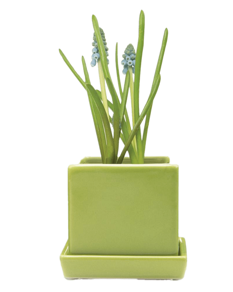 Cube & Saucer Ceramic Pot With Drainage Hole - Chive Ceramics Studio - Pots - Chive Ceramics Studio