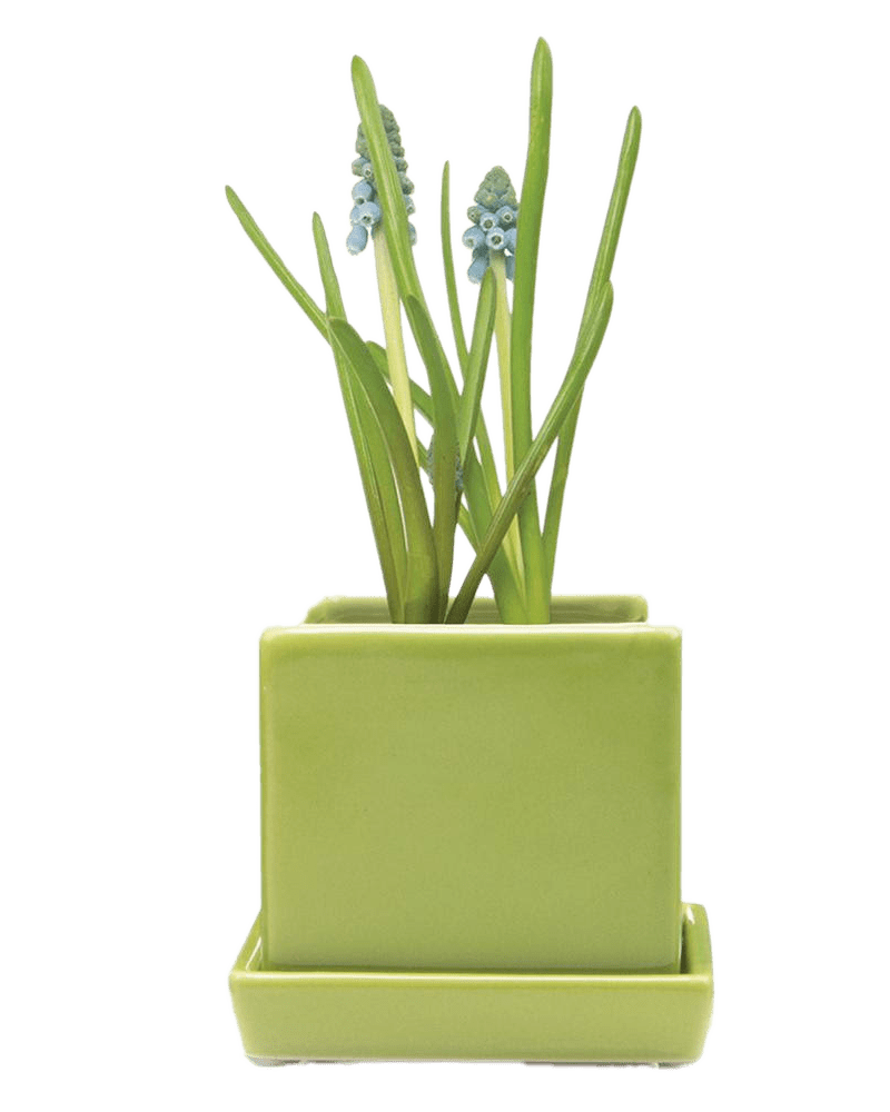 Cube & Saucer Ceramic Pot With Drainage Hole - Chive Ceramics Studio - Pots - Chive Ceramics Studio