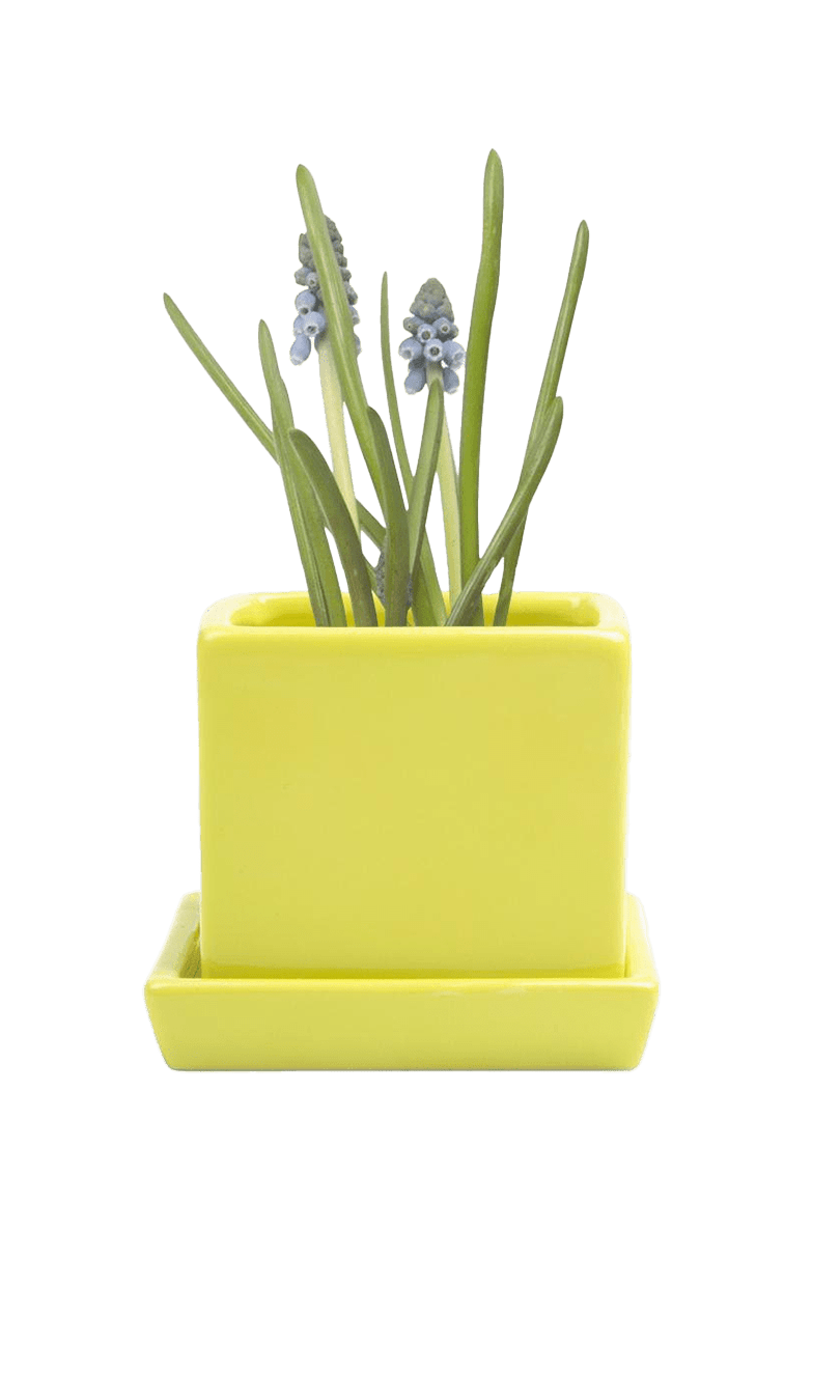 Cube & Saucer Ceramic Pot With Drainage Hole - Chive Ceramics Studio - Pots - Chive Ceramics Studio