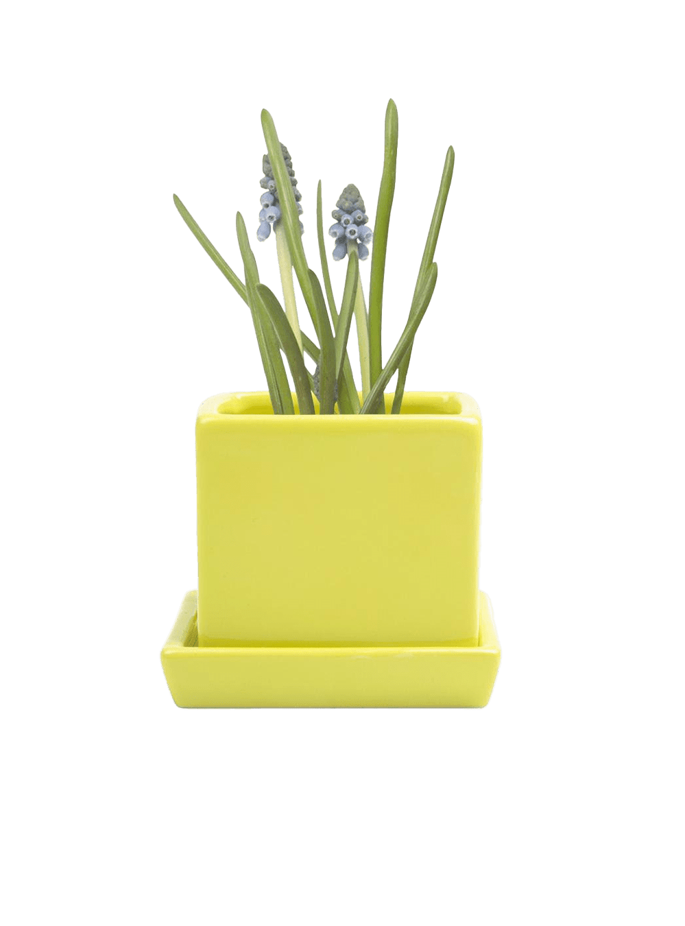 Cube & Saucer Ceramic Pot With Drainage Hole - Chive Ceramics Studio - Pots - Chive Ceramics Studio