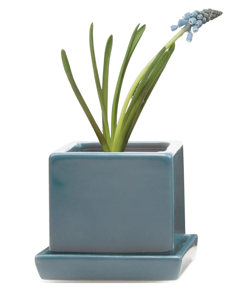 Cube & Saucer Ceramic Pot With Drainage Hole - Chive Ceramics Studio - Pots - Chive Ceramics Studio