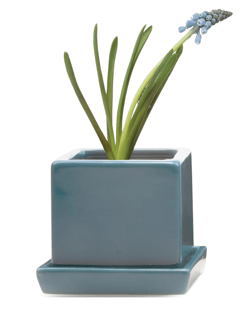Cube & Saucer Ceramic Pot With Drainage Hole - Chive Ceramics Studio - Pots - Chive Ceramics Studio