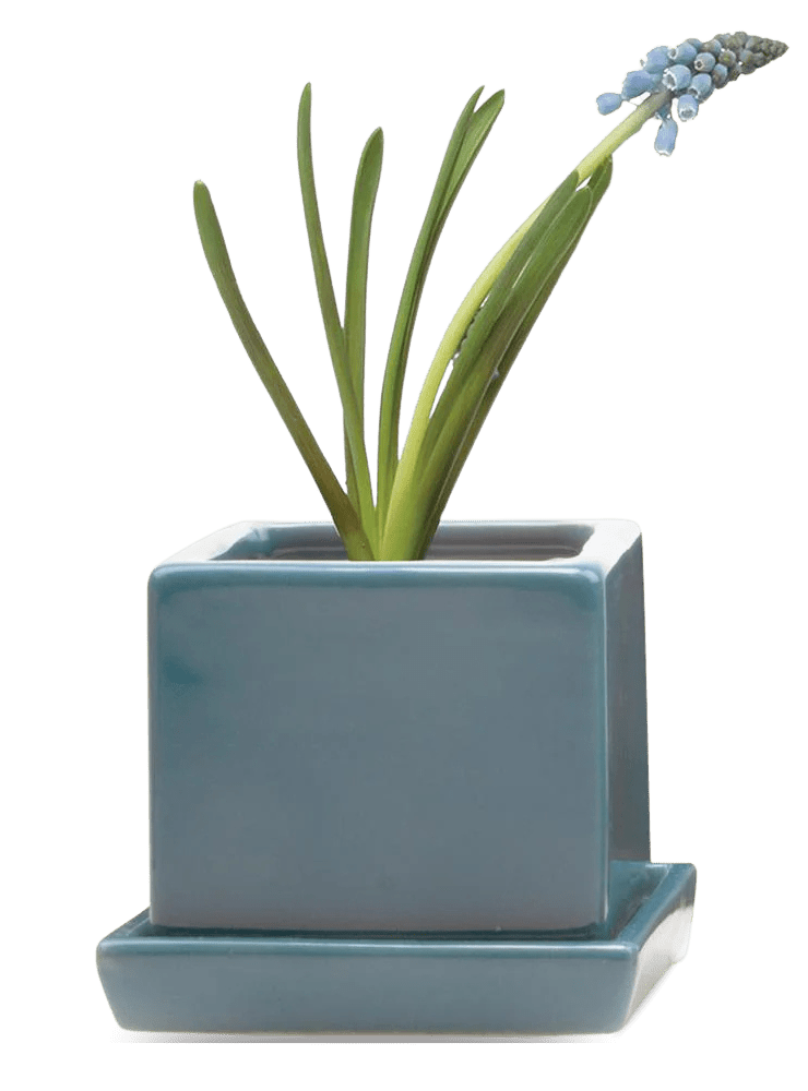 Cube & Saucer Ceramic Pot With Drainage Hole - Chive Ceramics Studio - Pots - Chive Ceramics Studio
