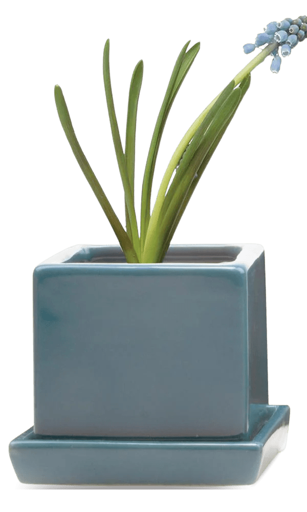 Cube & Saucer Ceramic Pot With Drainage Hole - Chive Ceramics Studio - Pots - Chive Ceramics Studio