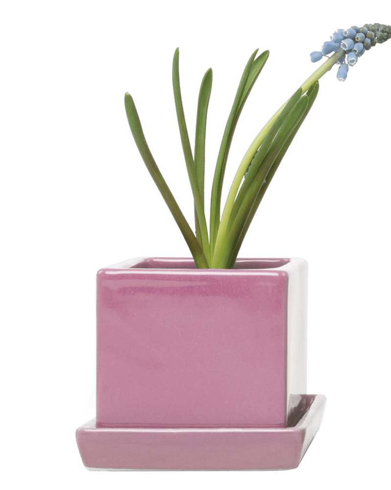 Cube & Saucer Ceramic Pot With Drainage Hole - Chive Ceramics Studio - Pots - Chive Ceramics Studio