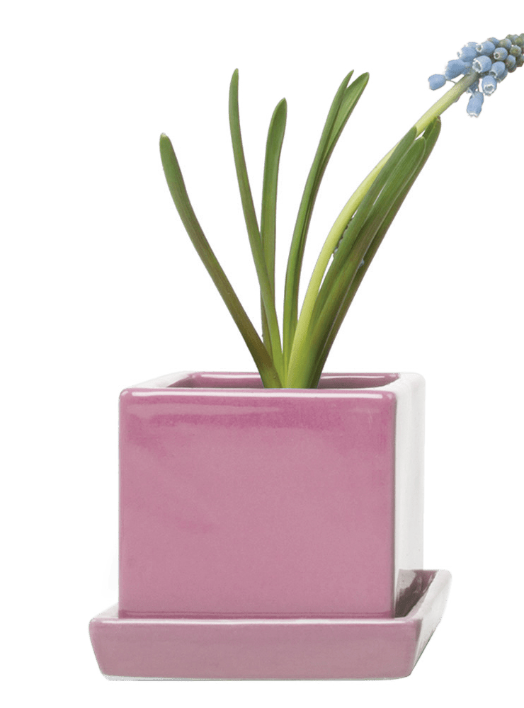 Cube & Saucer Ceramic Pot With Drainage Hole - Chive Ceramics Studio - Pots - Chive Ceramics Studio