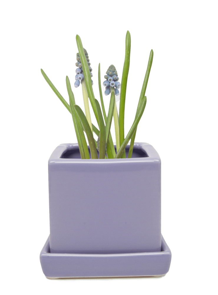 Cube & Saucer Ceramic Pot With Drainage Hole - Chive Ceramics Studio - Pots - Chive Ceramics Studio