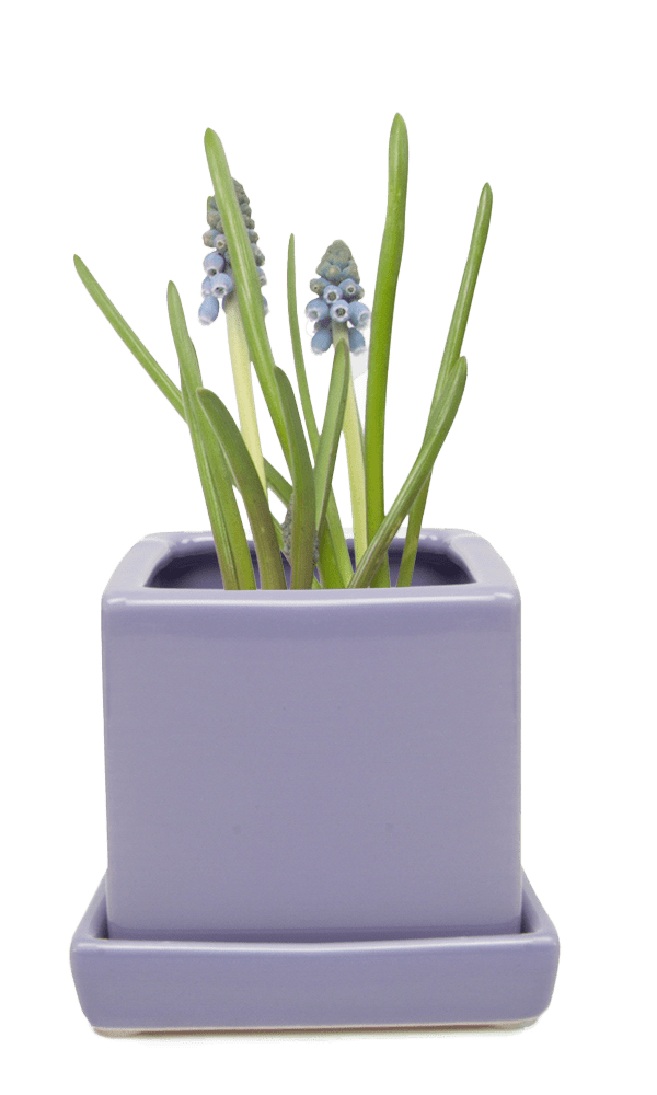 Cube & Saucer Ceramic Pot With Drainage Hole - Chive Ceramics Studio - Pots - Chive Ceramics Studio