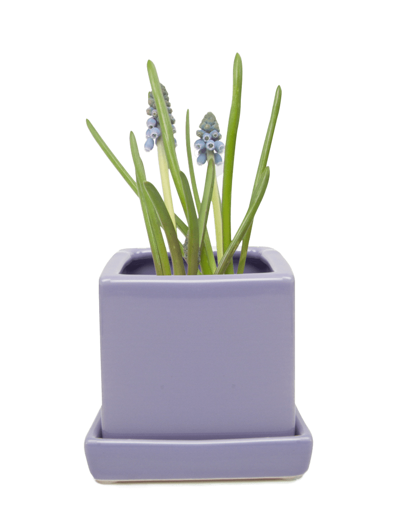 Cube & Saucer Ceramic Pot With Drainage Hole - Chive Ceramics Studio - Pots - Chive Ceramics Studio