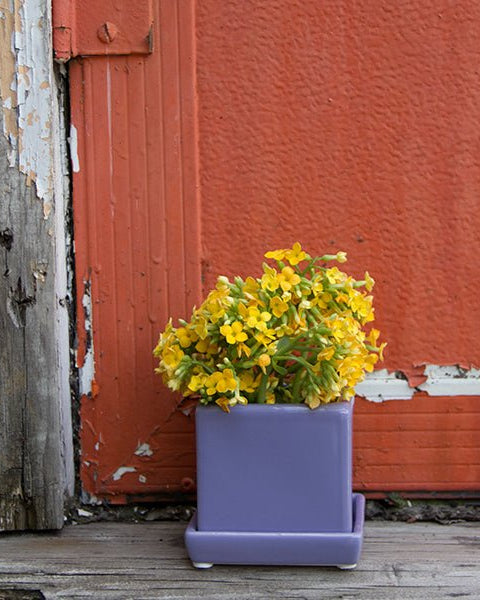 Cube & Saucer Ceramic Pot With Drainage Hole - Chive Ceramics Studio - Pots - Chive Ceramics Studio