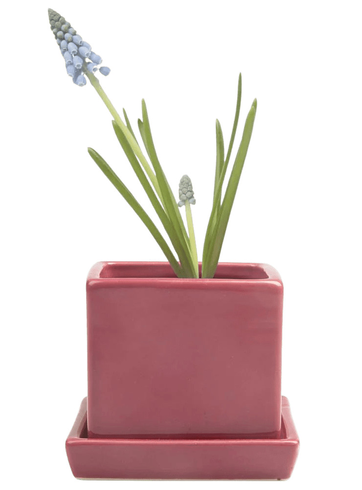 Cube & Saucer Ceramic Pot With Drainage Hole - Chive Ceramics Studio - Pots - Chive Ceramics Studio