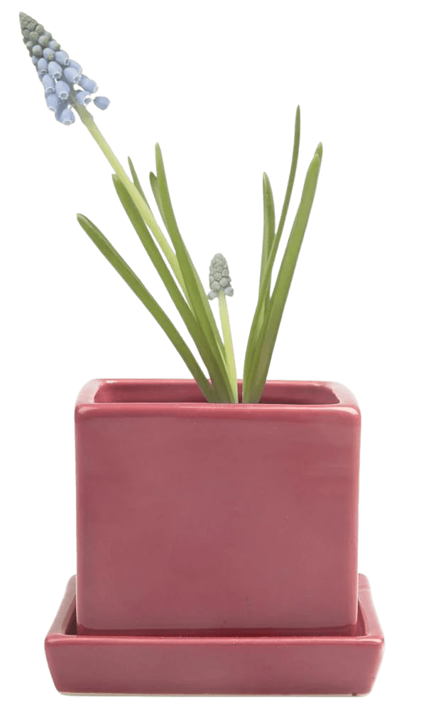 Cube & Saucer Ceramic Pot With Drainage Hole - Chive Ceramics Studio - Pots - Chive Ceramics Studio
