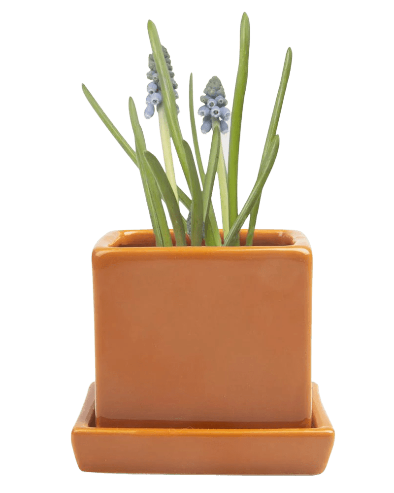 Cube & Saucer Ceramic Pot With Drainage Hole - Chive Ceramics Studio - Pots - Chive Ceramics Studio