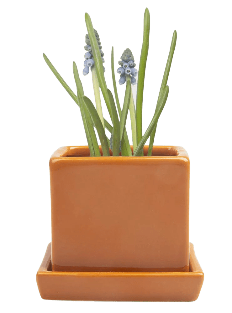 Cube & Saucer Ceramic Pot With Drainage Hole - Chive Ceramics Studio - Pots - Chive Ceramics Studio