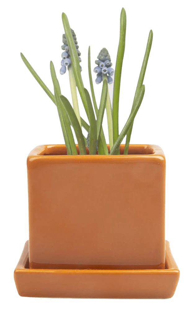 Cube & Saucer Ceramic Pot With Drainage Hole - Chive Ceramics Studio - Pots - Chive Ceramics Studio