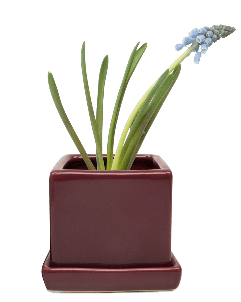 Cube & Saucer Ceramic Pot With Drainage Hole - Chive Ceramics Studio - Pots - Chive Ceramics Studio