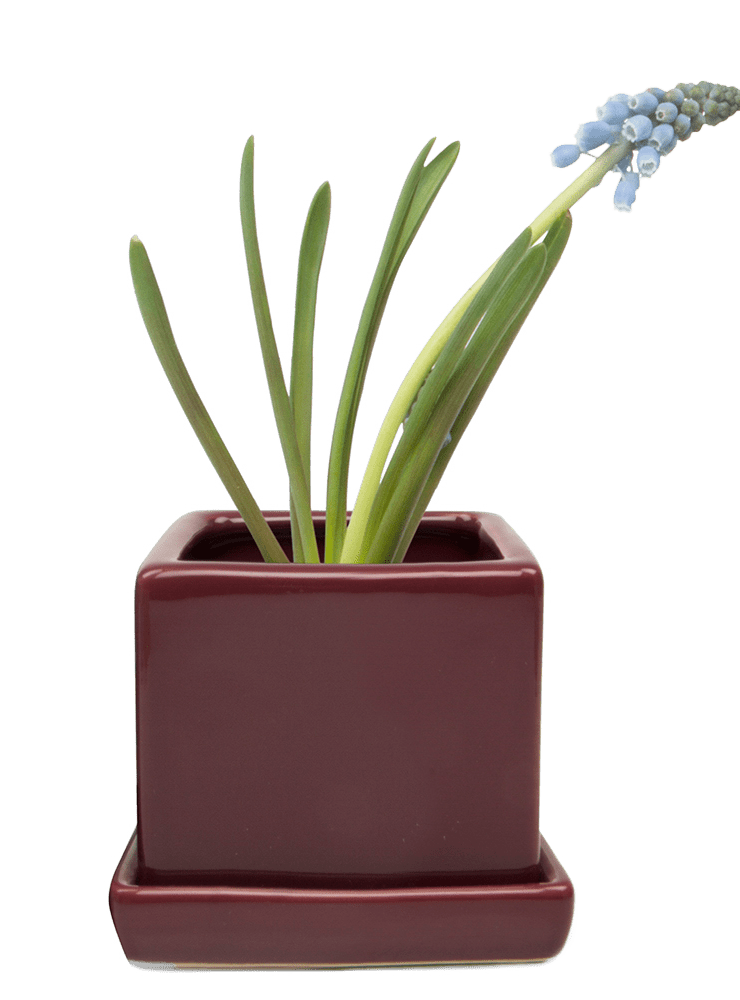 Cube & Saucer Ceramic Pot With Drainage Hole - Chive Ceramics Studio - Pots - Chive Ceramics Studio