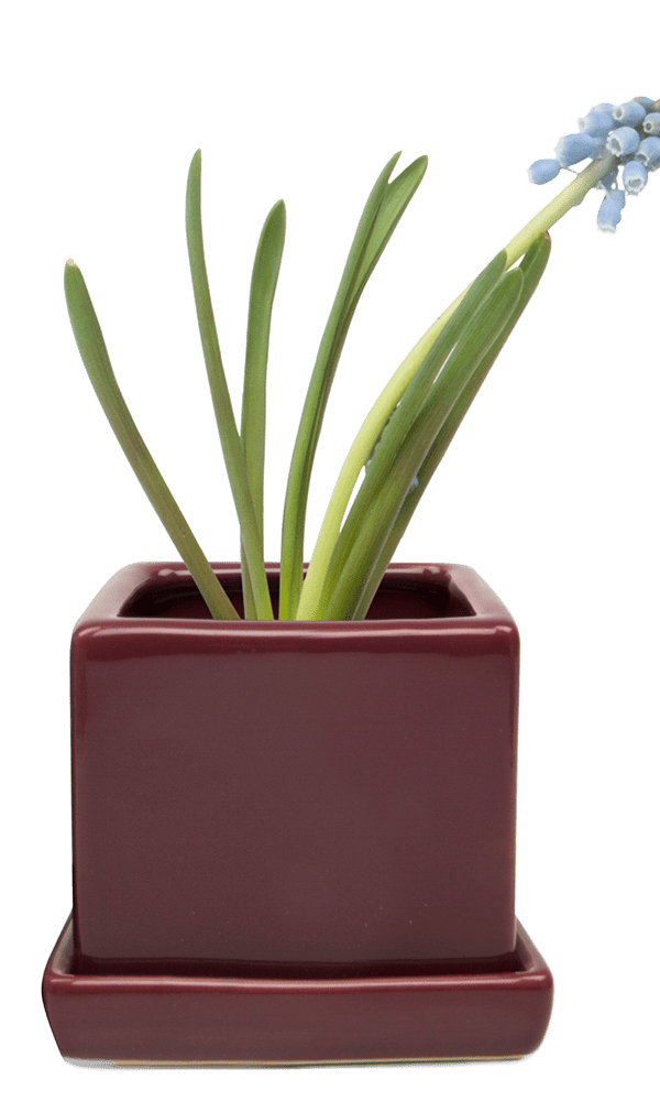 Cube & Saucer Ceramic Pot With Drainage Hole - Chive Ceramics Studio - Pots - Chive Ceramics Studio