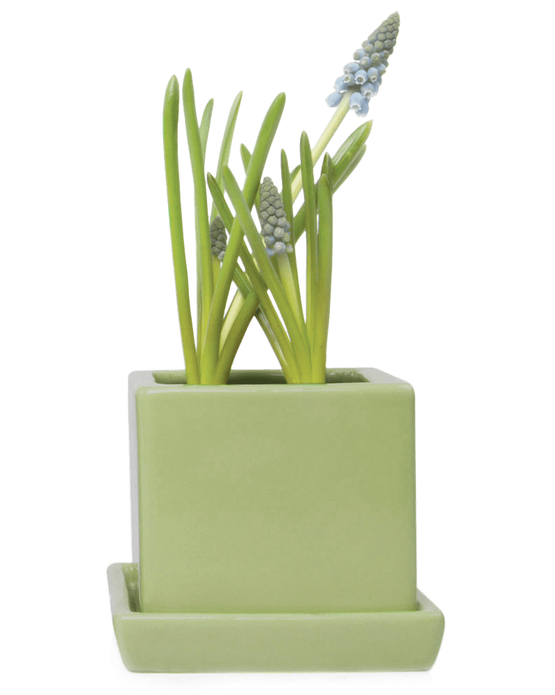 Cube & Saucer Ceramic Pot With Drainage Hole - Chive Ceramics Studio - Pots - Chive Ceramics Studio