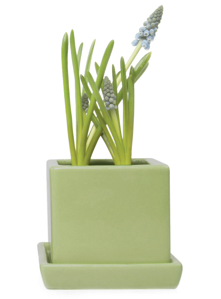 Cube & Saucer Ceramic Pot With Drainage Hole - Chive Ceramics Studio - Pots - Chive Ceramics Studio