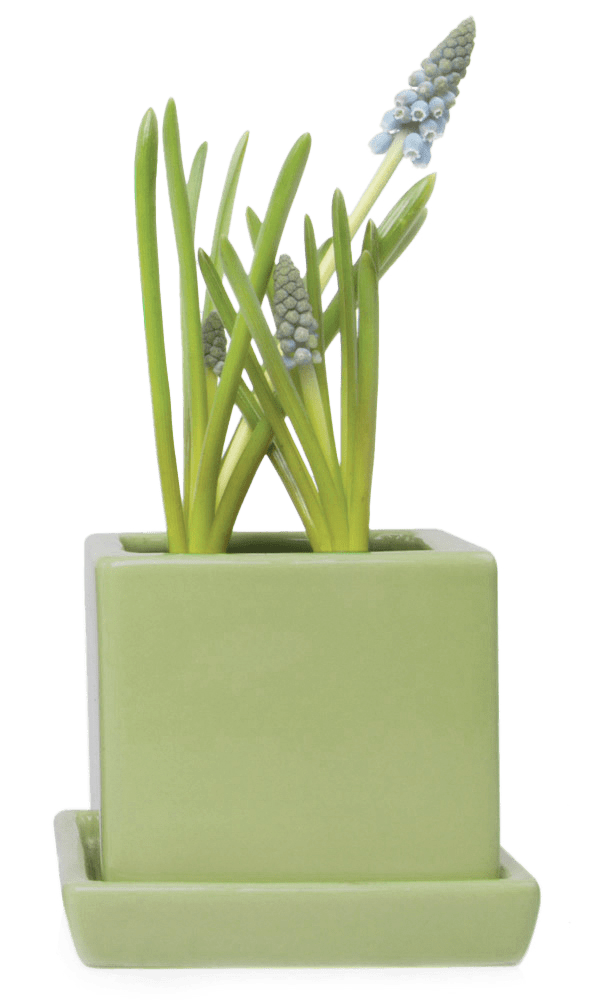 Cube & Saucer Ceramic Pot With Drainage Hole - Chive Ceramics Studio - Pots - Chive Ceramics Studio