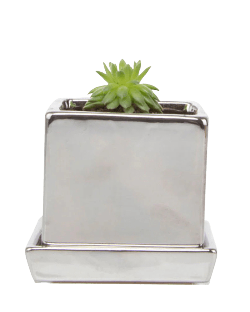 Cube & Saucer Ceramic Pot With Drainage Hole - Chive Ceramics Studio - Pots - Chive Ceramics Studio