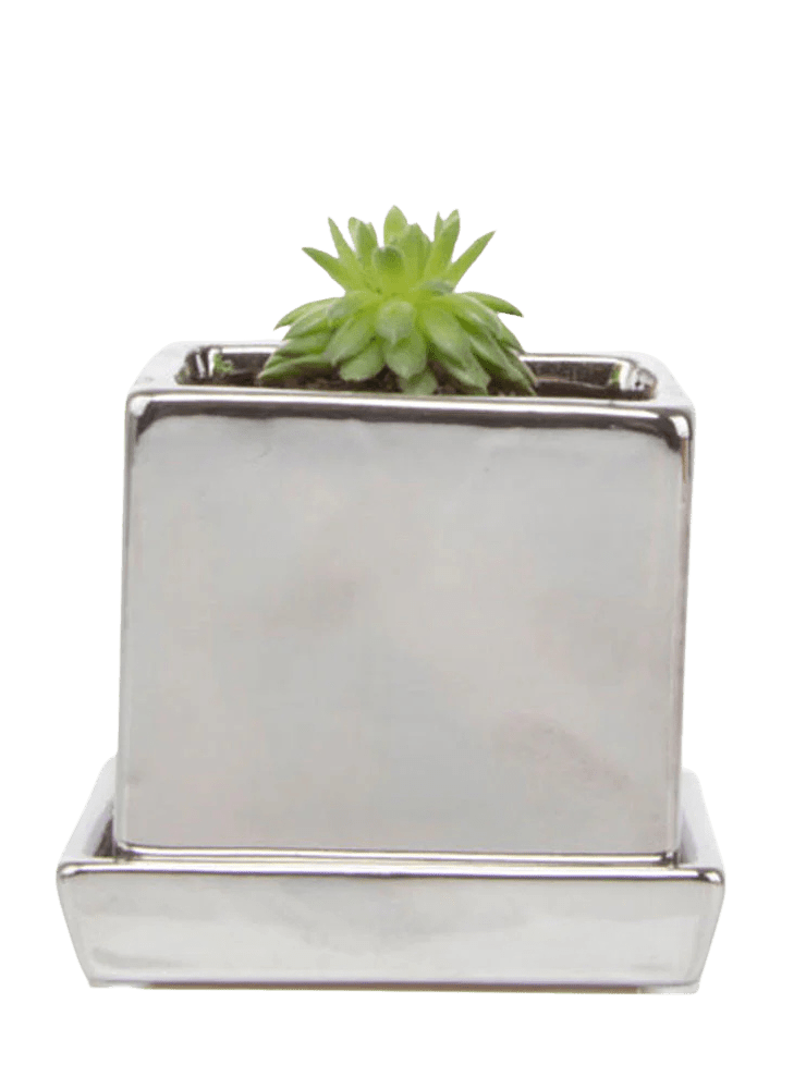 Cube & Saucer Ceramic Pot With Drainage Hole - Chive Ceramics Studio - Pots - Chive Ceramics Studio