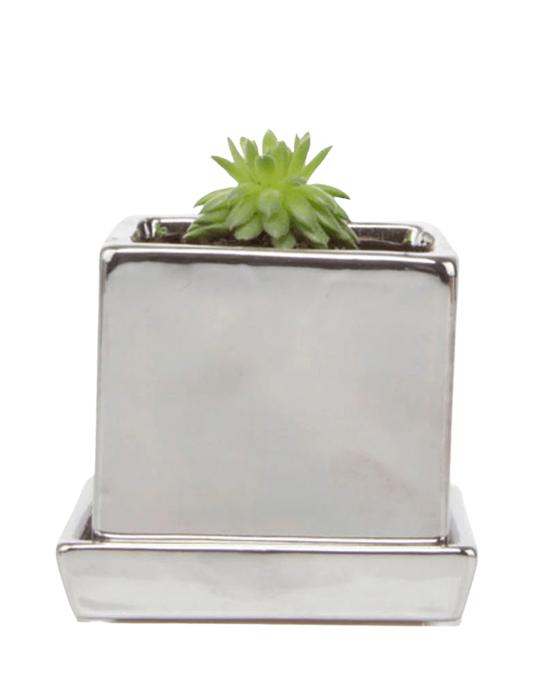 Cube & Saucer Ceramic Pot With Drainage Hole - Chive Ceramics Studio - Pots - Chive Ceramics Studio